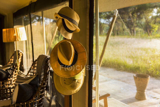 Sombreros colgando en el soporte, Maun, Botswana - foto de stock