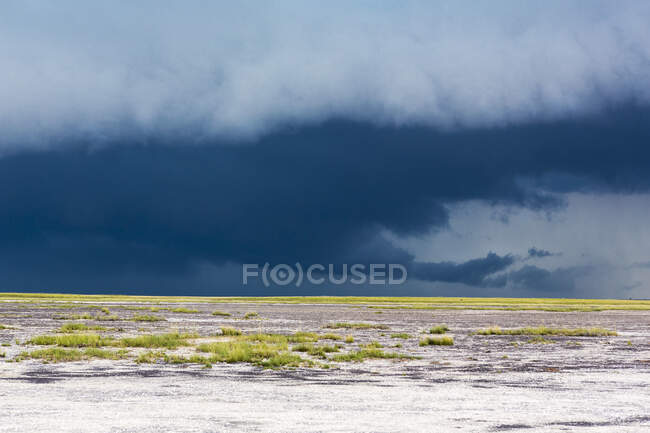 Nuvens de tempestade se reunindo no céu ao longo do horizonte . — Fotografia de Stock