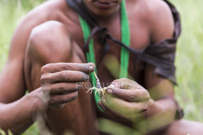 Close up of Bushman holding scorpion,Botswana — Stock Photo