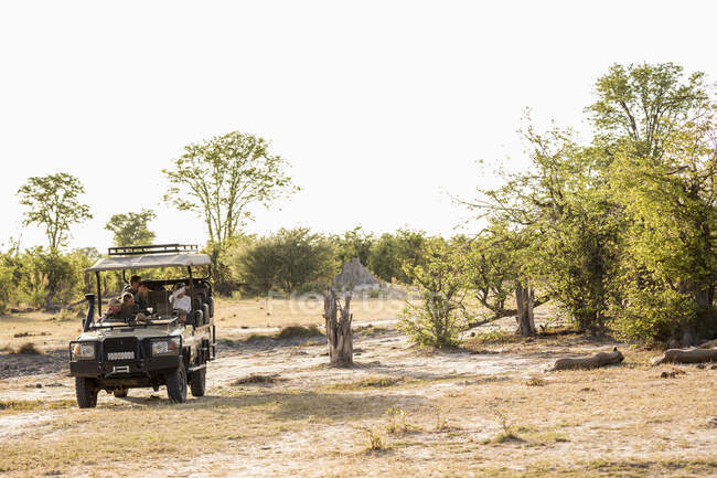 Un jeep con pasajeros observando un par de leones descansando en una reserva de caza - foto de stock