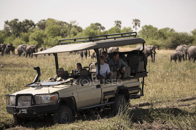 A jeep with passengers observing elephants gathering at water hole. — Stock Photo