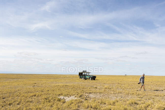 Una persona alejándose de un vehículo de safari, el desierto de Kalahari - foto de stock