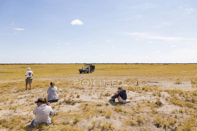 Туристы смотрят на Meerkats, пустыня Калахари, Makgadikgadi Salt Pans, Ботсвана — стоковое фото