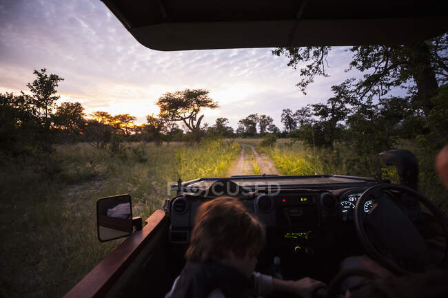 Desenfoque de movimiento, un vehículo safari conduciendo en una pista de tierra con faros encendidos después de la puesta del sol. - foto de stock