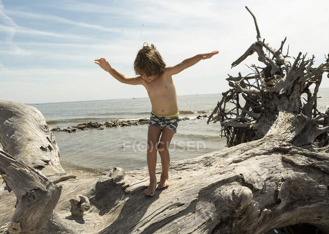 5 anno vecchio ragazzo bilanciamento su gigante driftwood albero, georgia — Foto stock