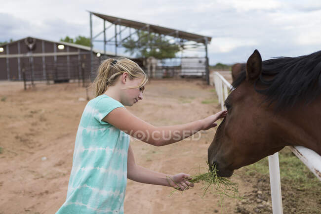 Дівчинка - підліток, яка дивиться на коня на паддоку. — стокове фото