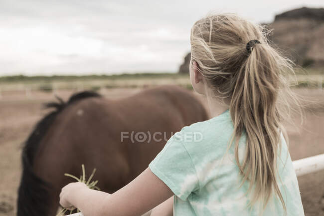 Adolescente olhando para cavalo em paddock — Fotografia de Stock