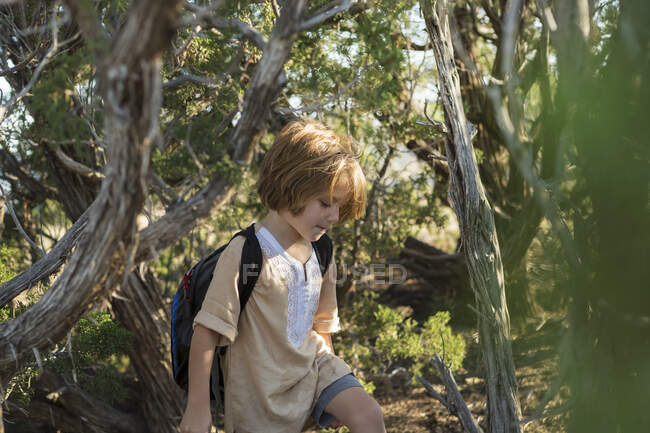 4 anos de idade menino caminhadas ao ar livre — Fotografia de Stock