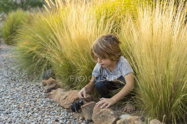 4-річний хлопчик грає у високій траві на заході сонця — стокове фото