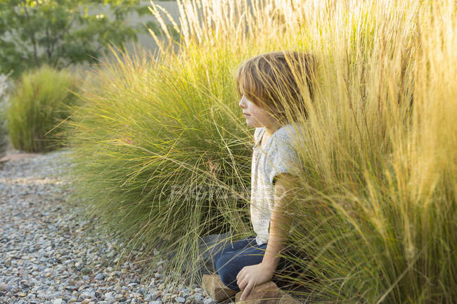 4-летний мальчик играл в высокой траве на закате — стоковое фото