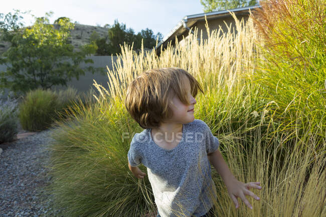 4-річний хлопчик грає у високій траві на заході сонця — стокове фото