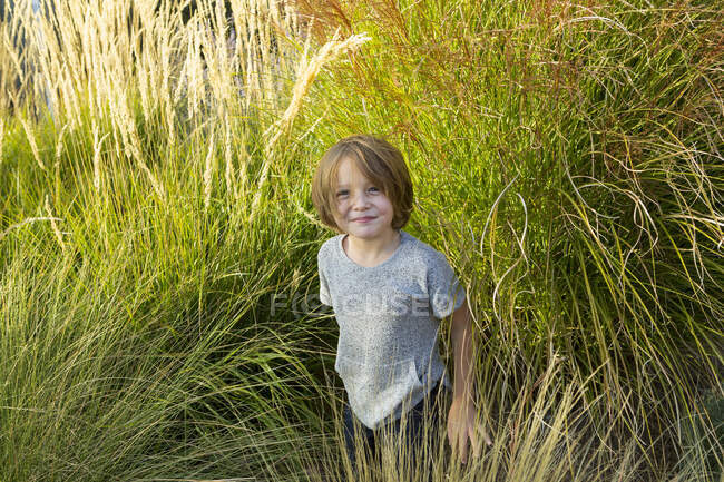 4 anno vecchio ragazzo giocare in alto erba a tramonto — Foto stock