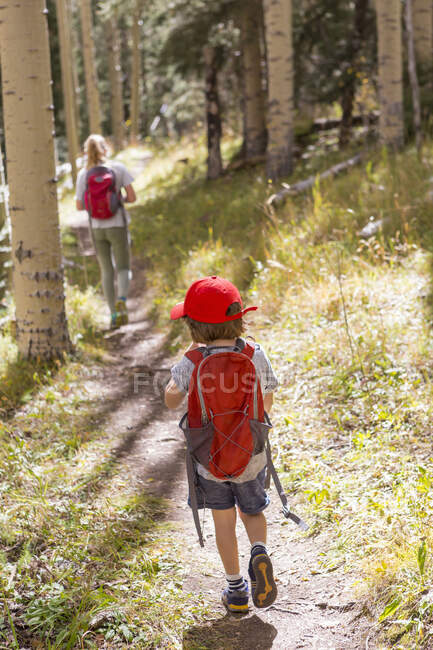 Вид сзади на детей, идущих по природной тропе — стоковое фото