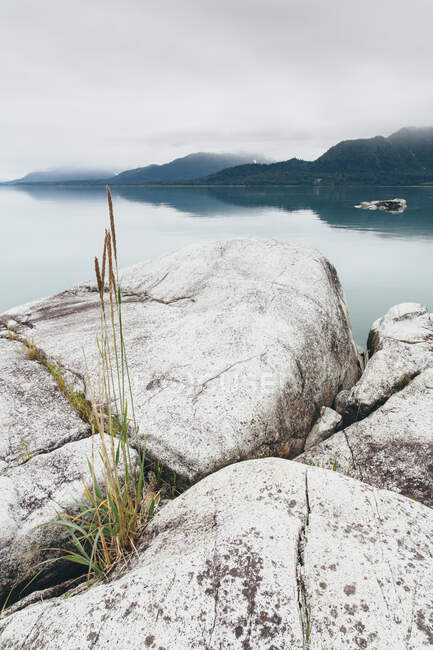 Overcast sky above calm water of an inlet in a national park. — Stock Photo