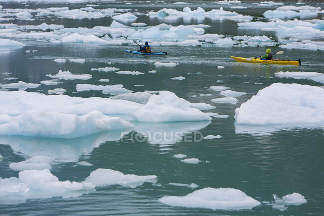 Sea kayakers paddling in glacial lagoon at a glacier terminus on the coast of Alaska — Stock Photo
