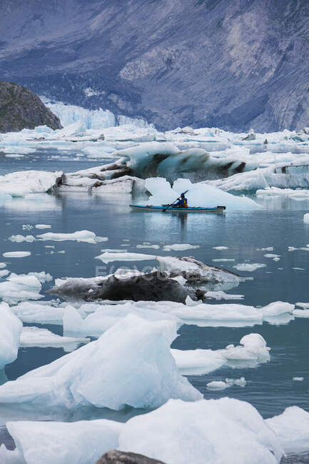 Kayakiste de mer pagayant à travers la glace dans la lagune au terminus du glacier McBride. — Photo de stock
