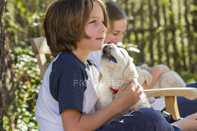 6 year old boy holding an English golden retriever puppy — Stock Photo
