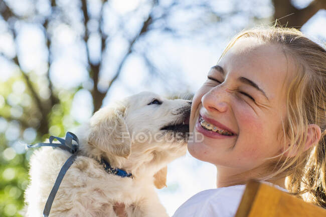 Inglés golden retriever cachorro lamiendo la mejilla de una adolescente. - foto de stock