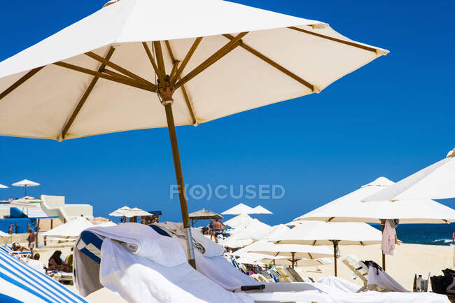 Вид з низьким кутом, сонячні ліжка та сонячні парасольки на пляжі, синій фон неба — стокове фото