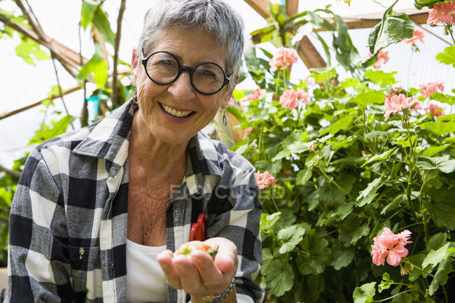 Старша жінка садівництво в геодезичному куполі, Санта-Фе, штат Нью-Йорк. — стокове фото