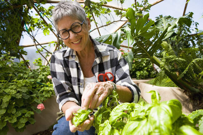 Femme âgée jardinage dans le dôme géodésique — Photo de stock
