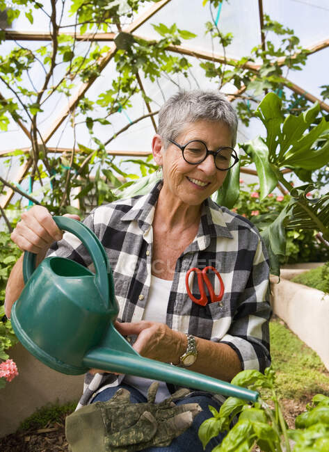 Seniorin gärtnert in geodätischer Kuppel — Stockfoto