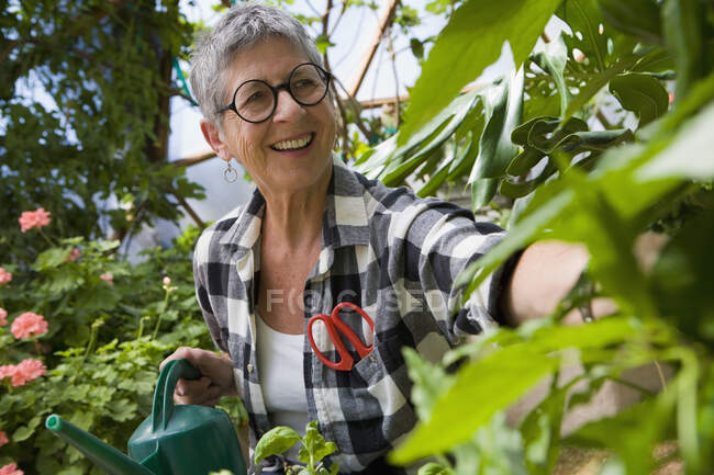 Seniorin gärtnert in geodätischer Kuppel — Stockfoto