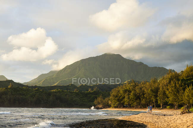 Puesta de sol en una playa de arena con bosques y vista a un pico de montaña. - foto de stock