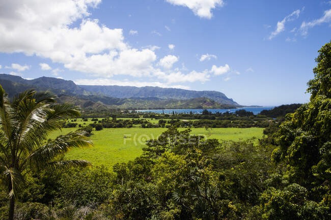 Aussichtsreiche Landschaft, Kauai, Hawaii — Stockfoto