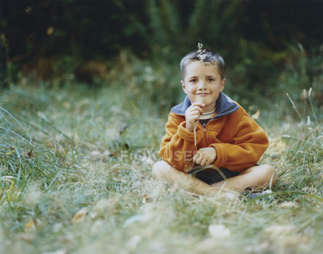 Хлопчик сидить на полі високої трави, тримає лезо трави — стокове фото