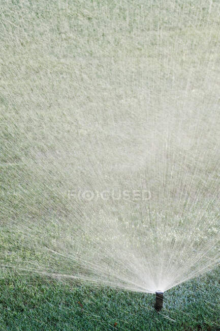 Nahaufnahme von Sprinkler auf grünem Rasen — Stockfoto