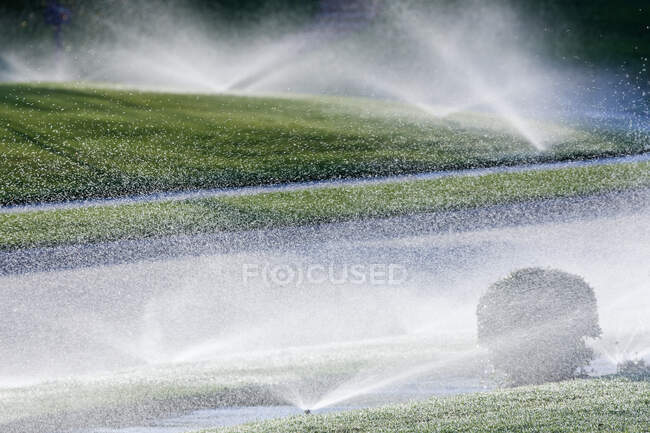 Vista ravvicinata degli irrigatori sul prato verde — Foto stock