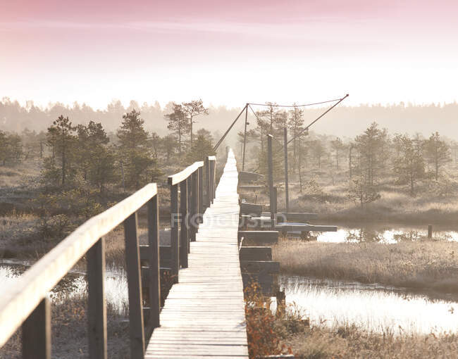Promenade en bois sur le marais, vue imprenable sur la nature — Photo de stock