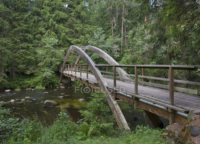 Puente de madera sobre el río y árboles verdes - foto de stock