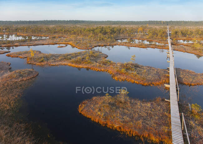 Удивительный ландшафт с деревянной доской над болотом, вид с воздуха — стоковое фото