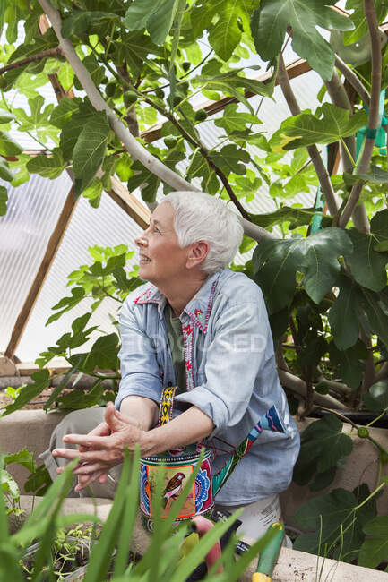Lächelnde Seniorin beim Gärtnern in einer geodätischen Kuppel, klimatisiertem Glashaus — Stockfoto