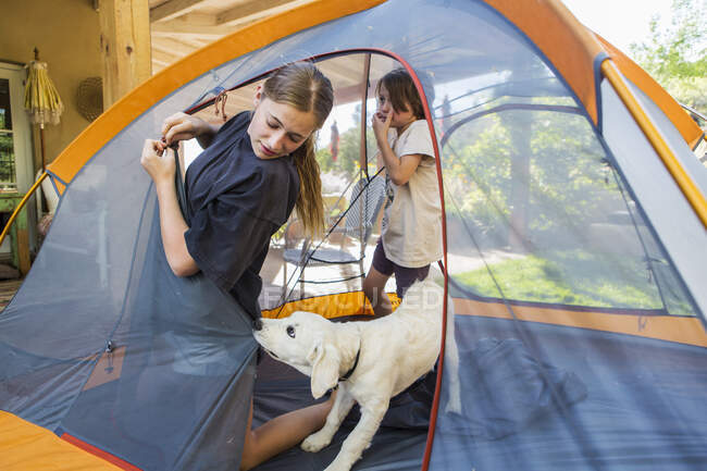 Teenagermädchen und ihr jüngerer Bruder bauen ein Zelt auf, ein süßer Welpe zerrt am Zeltstoff. — Stockfoto