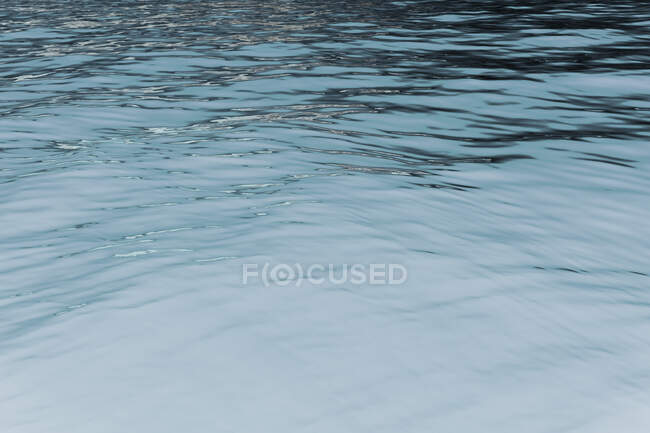 Inverted image of calm water of a freshwater lake, ripples on the surface — Stock Photo