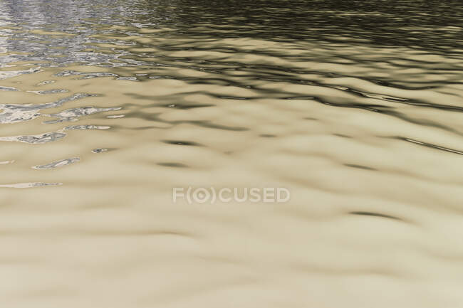 Inverted image of calm water of a freshwater lake, ripples on the surface — Stock Photo