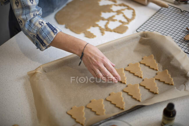 Alto ángulo de cerca de la mujer colocando galletas del árbol de Navidad en una bandeja para hornear. - foto de stock