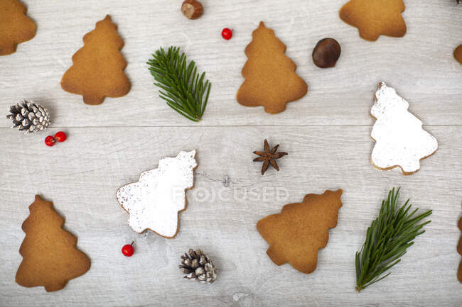 High angle close up of Christmas decorations and Christmas Tree cookies. — Stock Photo