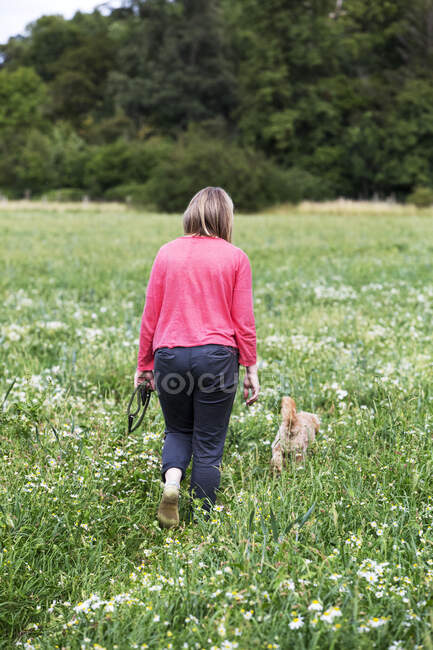 Femme marchant dans la prairie avec fawn enduit jeune Cavapoo. — Photo de stock