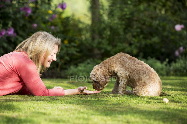 Frau liegt auf Rasen im Garten und spielt mit Rehkitz. — Stockfoto