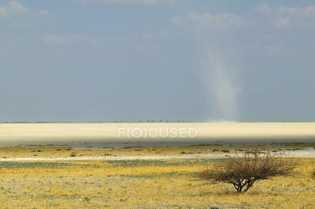 Blick über die Makadikadi-Salinen in Botswana. — Stockfoto