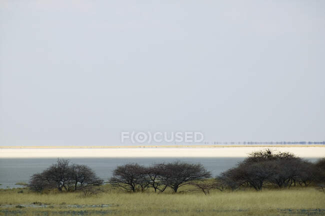 Vista a través de las Salinas Makadikadi en Botswana. - foto de stock
