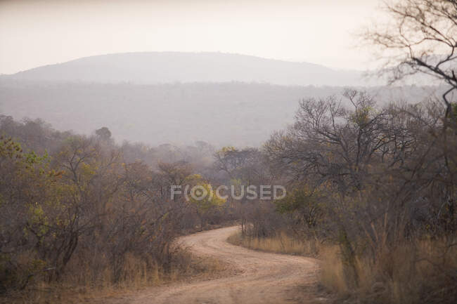Vista a lo largo de sinuoso camino rural, África del Sur. - foto de stock