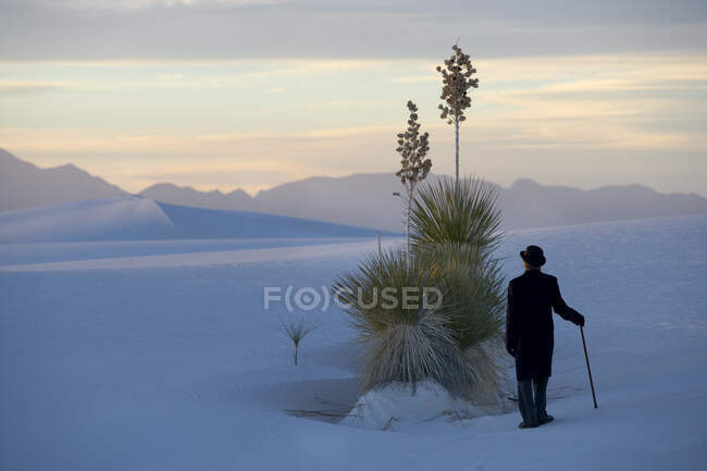 Vista posteriore dell'uomo in cappotto e cappello a bombetta in piedi nel paesaggio duna bianca, scarsa luce — Foto stock