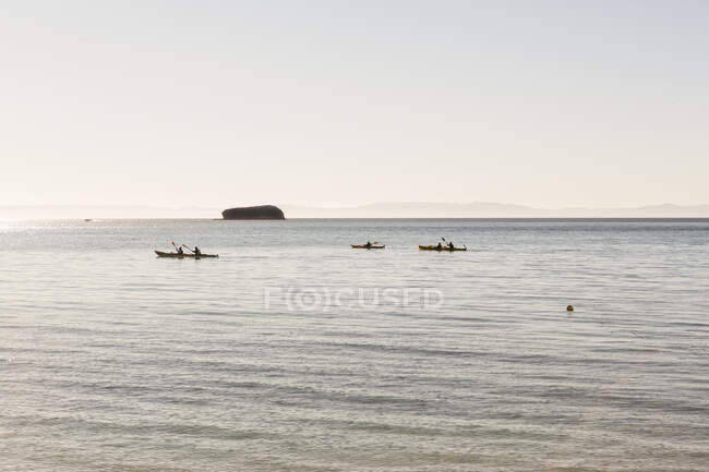 Kayakers en el Mar de Cortes - foto de stock