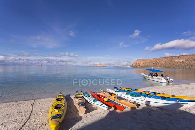 Colorful kayaks lying on the beach, Isla Espiritu, Sea of Cortes — Stock Photo