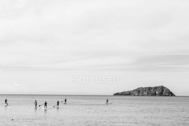 Pagayeurs debout sur la mer de Cortes — Photo de stock